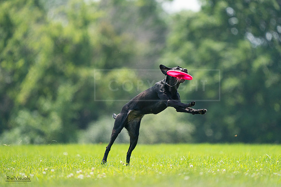 RielVisuals_20240727_131042_SJR07105