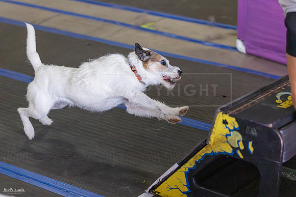 RielVisuals_20260802_152340_SJR_9340