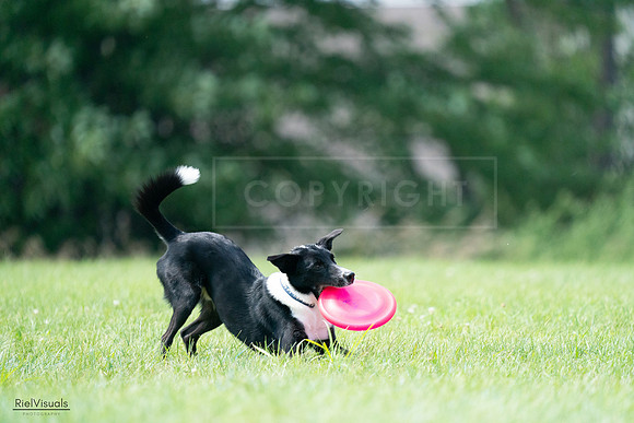 RielVisuals_20240728_143940_SJR08800