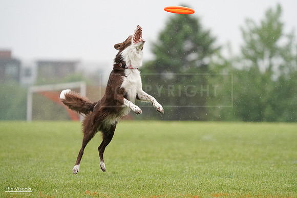RielVisuals_20240527_104357_SJR01390