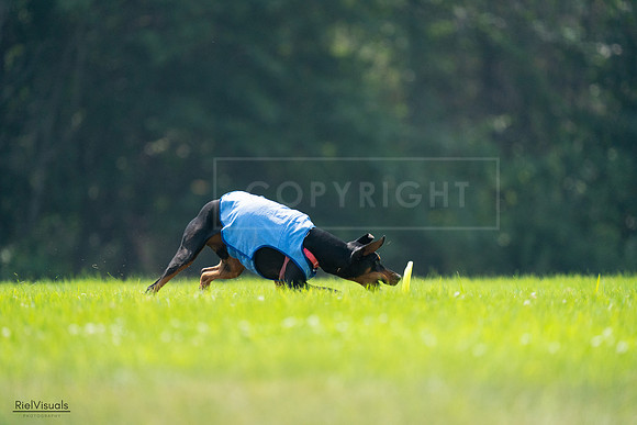 RielVisuals_20240727_122630_SJR05565