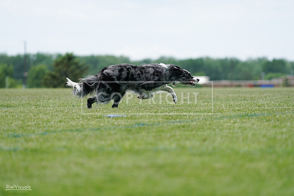 RielVisuals_20240525_124359_SJR01020