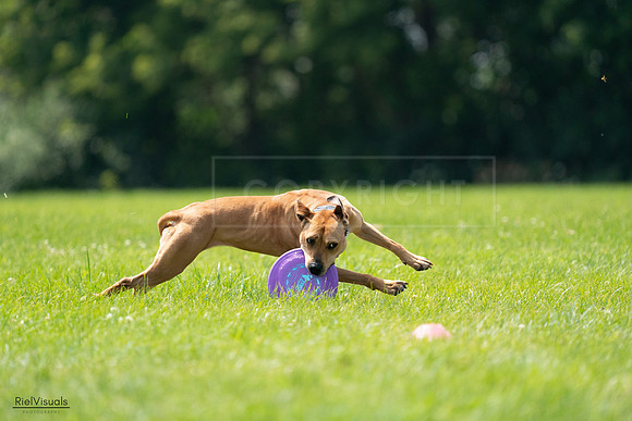 RielVisuals_20240728_135400_SJR07436