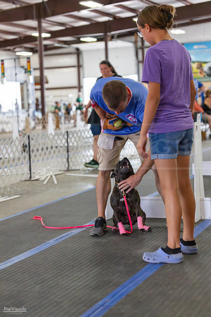 RielVisuals_20260802_151953_SJR_9145