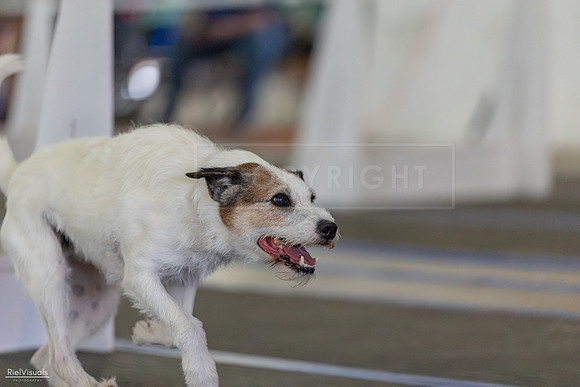 RielVisuals_20260802_152826_SJR_9744