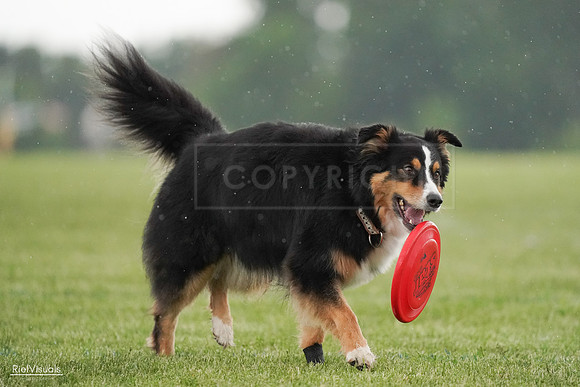 RielVisuals_20240526_094616_SJR00989