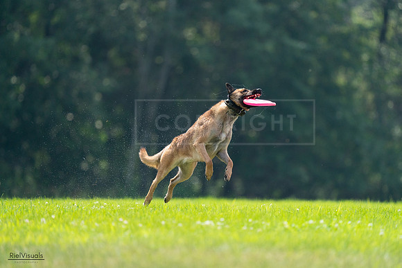 RielVisuals_20240727_123627_SJR05971