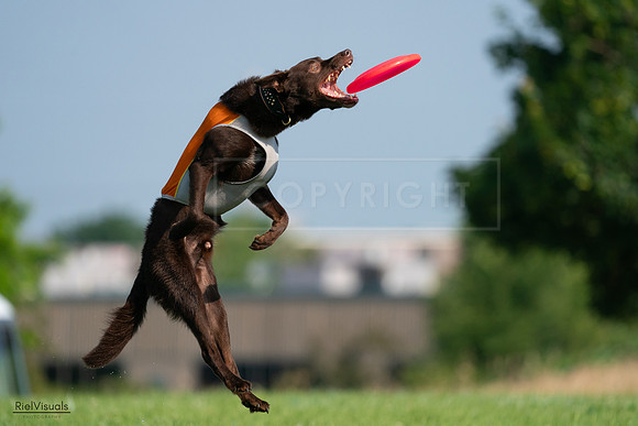 RielVisuals_20240727_092531_SJR06323