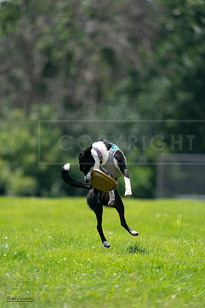 RielVisuals_20240728_132729_SJR06243
