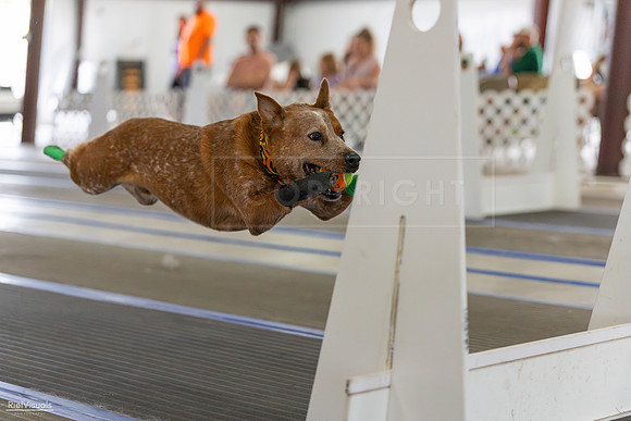RielVisuals_20260802_134407_SJR_8934