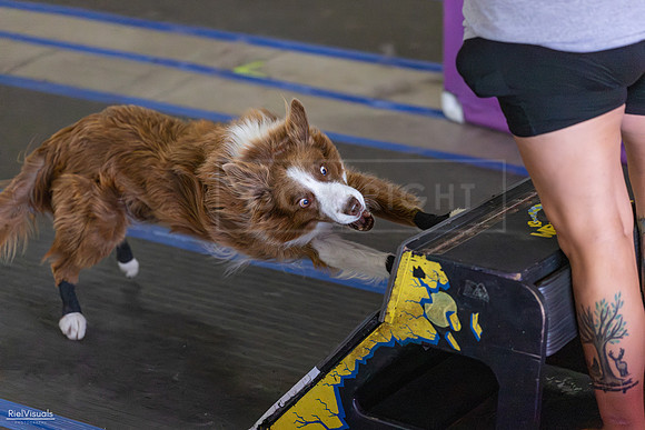 RielVisuals_20260802_152345_SJR_9358