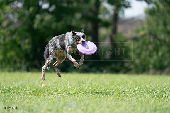 RielVisuals_20240728_145203_SJR09375