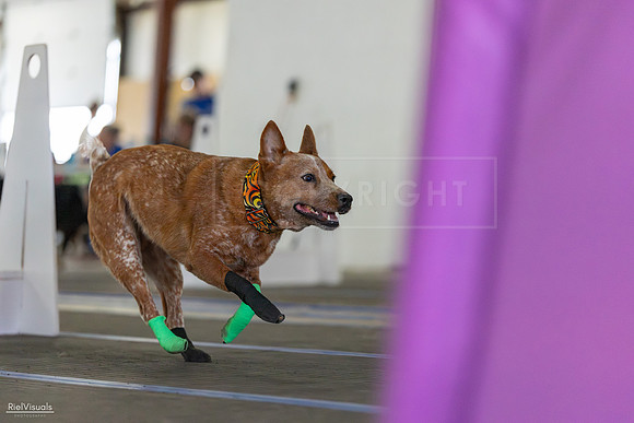 RielVisuals_20260802_152454_SJR_9493