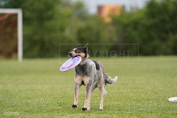 RielVisuals_20240526_133626_SJR08319