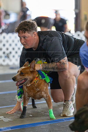 RielVisuals_20260802_101526_SJR_8259