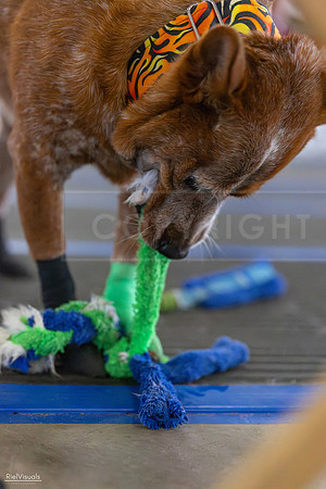 RielVisuals_20260802_101227_SJR_7945