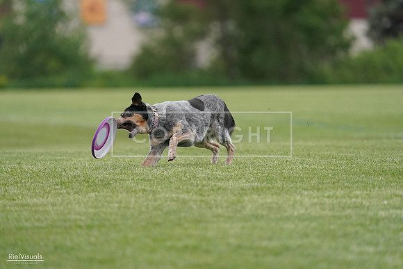 RielVisuals_20240525_164247_SJR05279