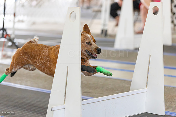 RielVisuals_20260801_165311_SJR_4704