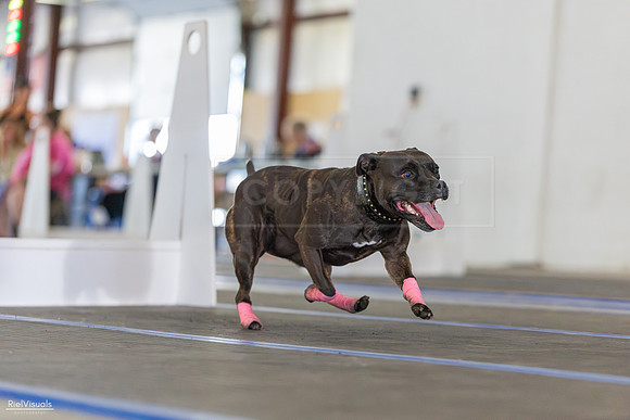 RielVisuals_20260802_091031_SJR_7498