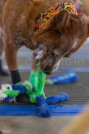 RielVisuals_20260802_101227_SJR_7944