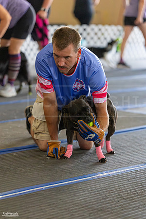 RielVisuals_20260802_101501_SJR_8212