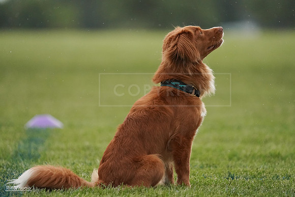 RielVisuals_20240526_093037_SJR00224