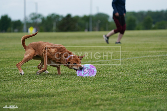 RielVisuals_20240525_161756_SJR03981