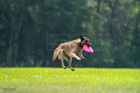 RielVisuals_20240727_123627_SJR05974
