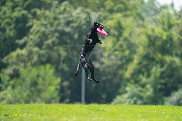 RielVisuals_20240727_131007_SJR07028