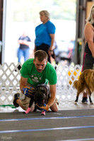 RielVisuals_20260801_083810_SJR_1603