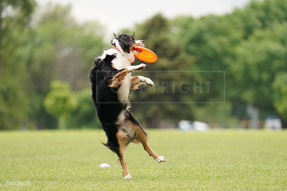 RielVisuals_20240527_132808_SJR09887