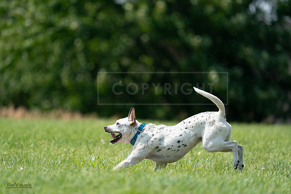 RielVisuals_20240728_144222_SJR08957