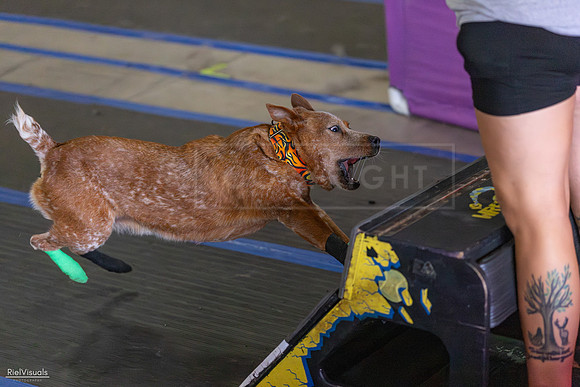 RielVisuals_20260802_152354_SJR_9412