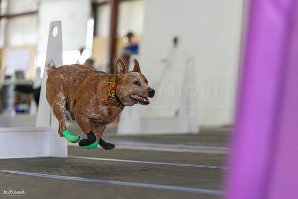 RielVisuals_20260802_152454_SJR_9491
