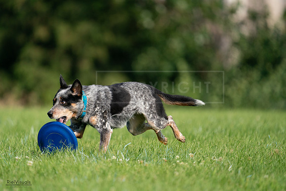 RielVisuals_20240727_094900_SJR07715