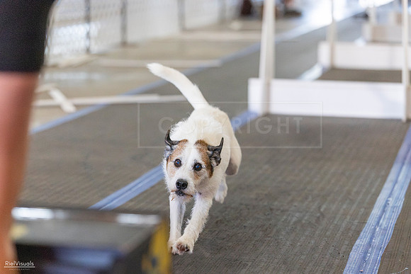 RielVisuals_20260802_090642_SJR_7155