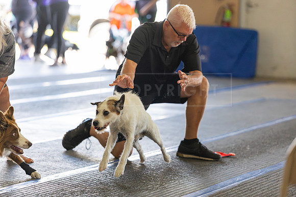 RielVisuals_20260802_101300_SJR_7980