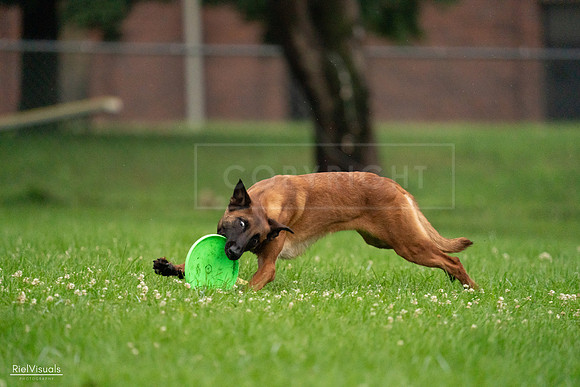 RielVisuals_20240722_192509_SJR00868