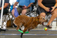 RielVisuals_20260801_083906_SJR_1674