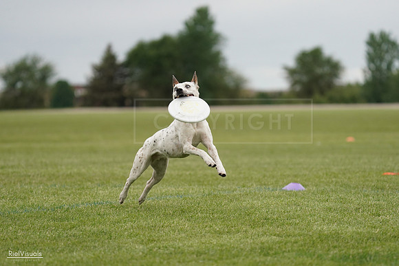 RielVisuals_20240526_134252_SJR08831