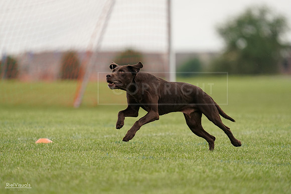 RielVisuals_20240527_132518_SJR09683
