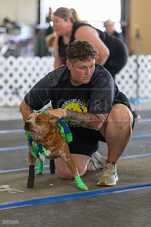 RielVisuals_20260802_101523_SJR_8248