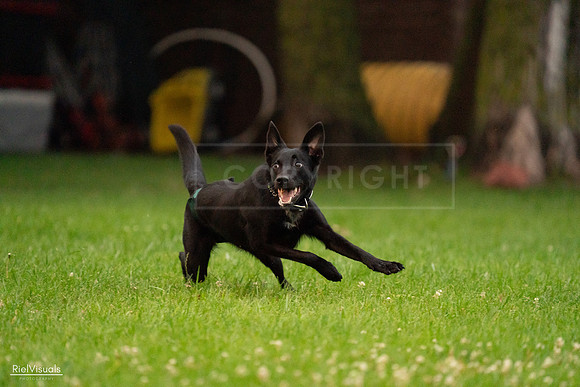 RielVisuals_20240722_195355_SJR02325