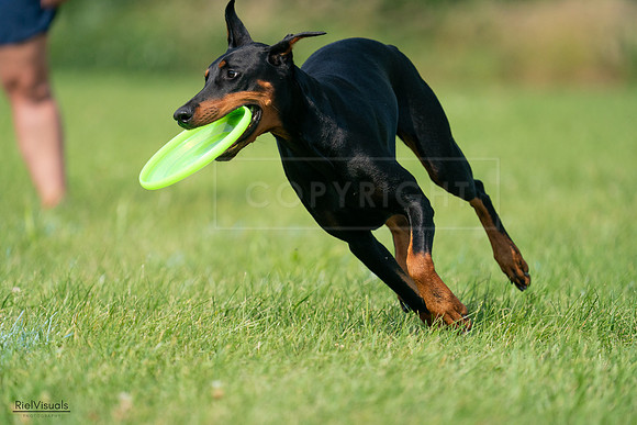RielVisuals_20240728_103556_SJR08647
