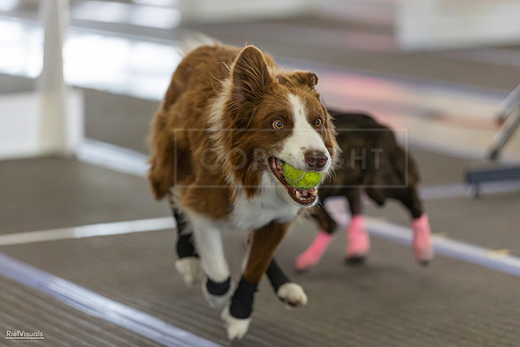 RielVisuals_20260802_101421_SJR_8105