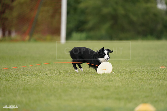 RielVisuals_20240527_143023_SJR02956