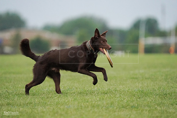RielVisuals_20240527_090732_SJR05975