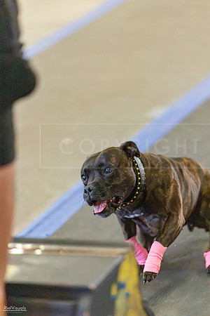 RielVisuals_20260801_165803_SJR_5126