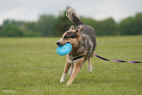 RielVisuals_20240527_133355_SJR00244