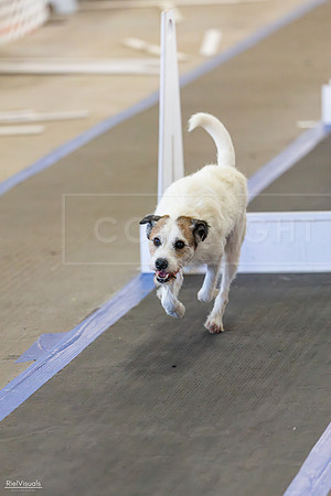 RielVisuals_20260801_165753_SJR_5056